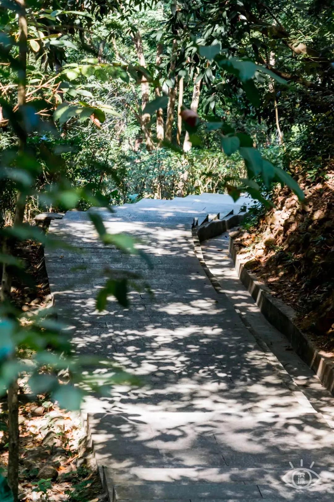 深圳最值得爬的景点,深圳十大最值得爬的山