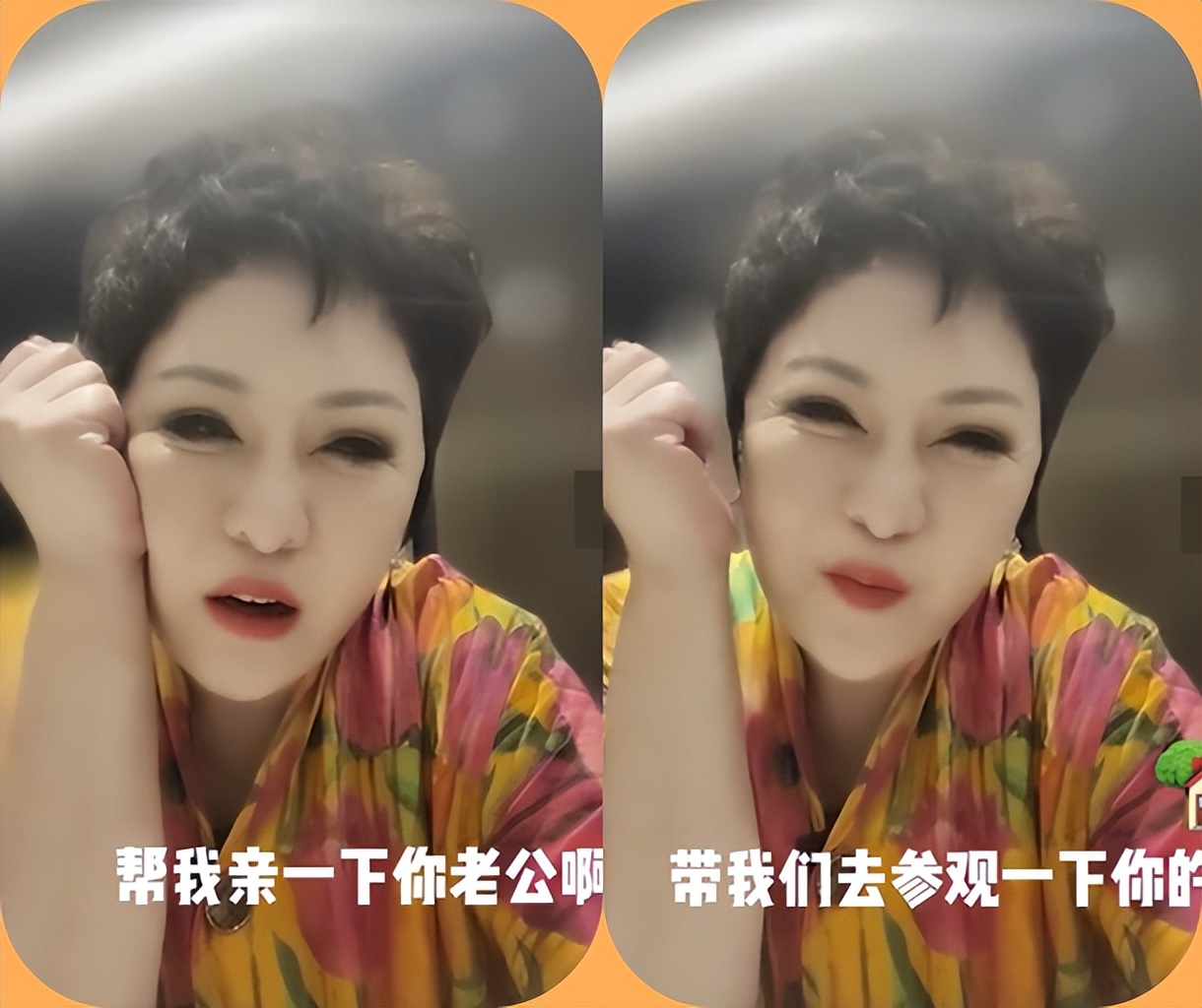 向太评价袁咏仪,向太给袁咏仪爱马仕