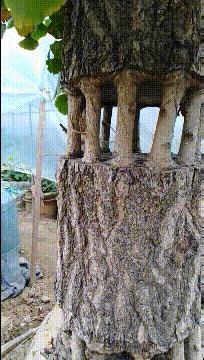 论一个人情商,论一个人能有多悲伤