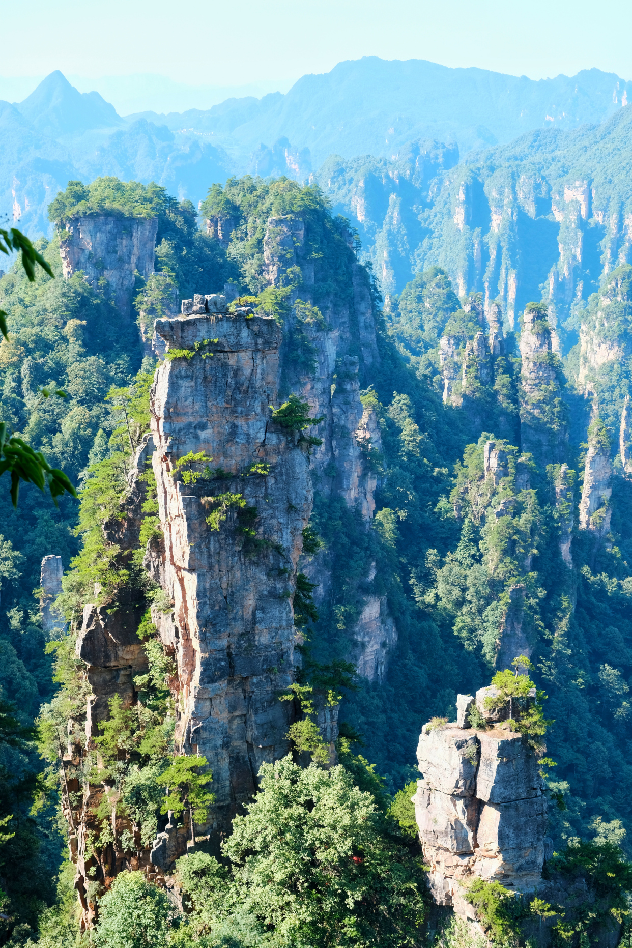郴州长沙张家界五日游,湖南郴州张家界三日游