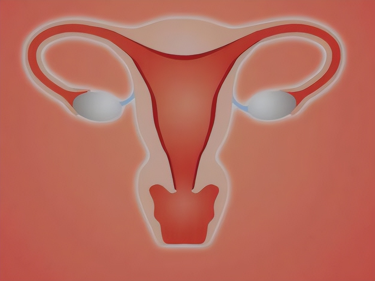 子宫健康的话会有哪些表现,子宫有异常症状有哪些