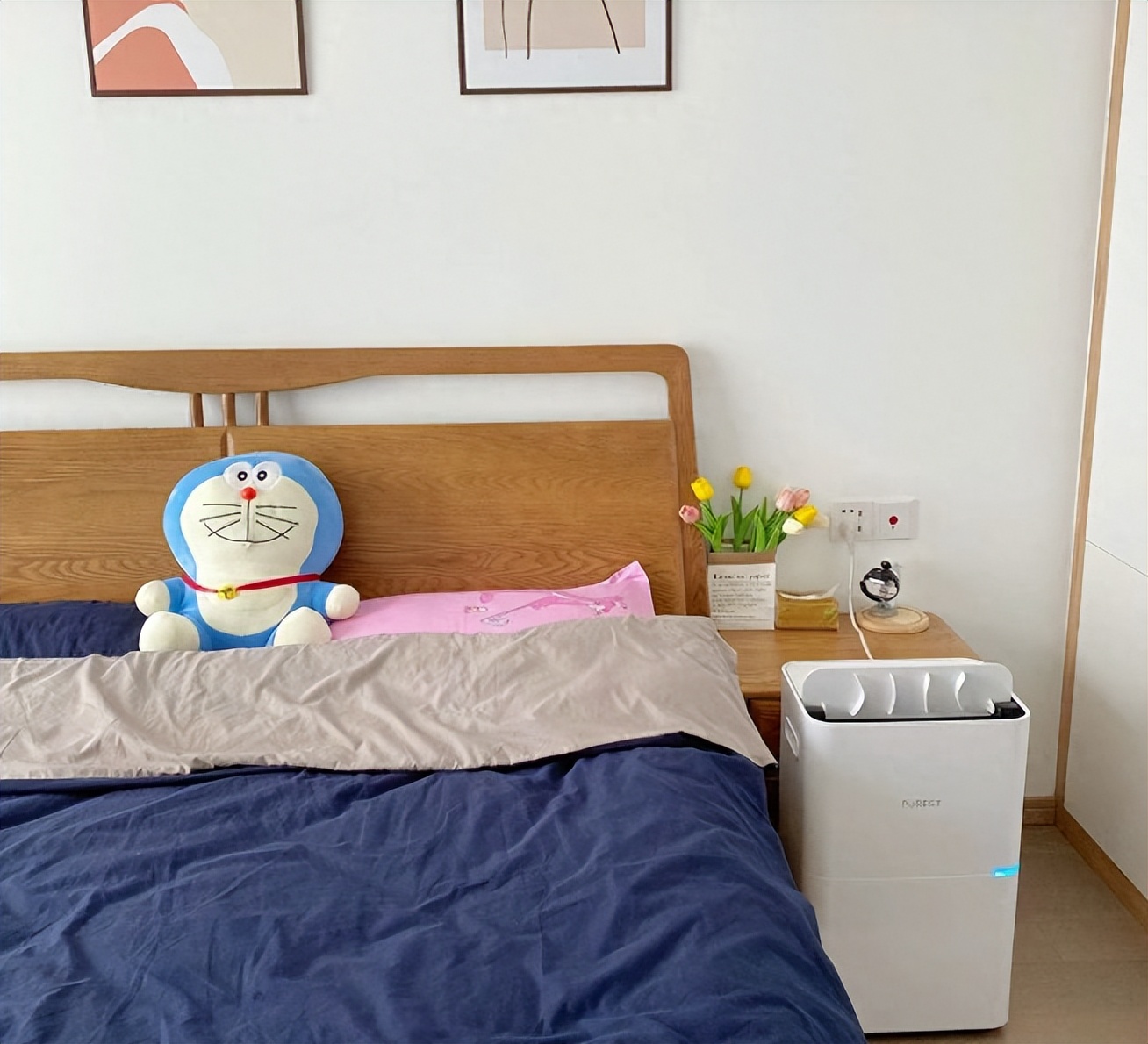 家用除湿机用什么样的好,新房装修用除湿器