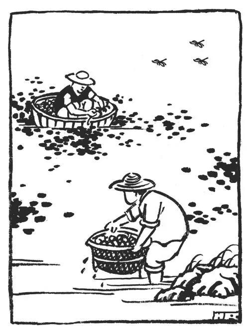 民间故事：*姑麻**好喝鳖汤肚疼而死，射白獐火焚身，杀牛当场眼流血