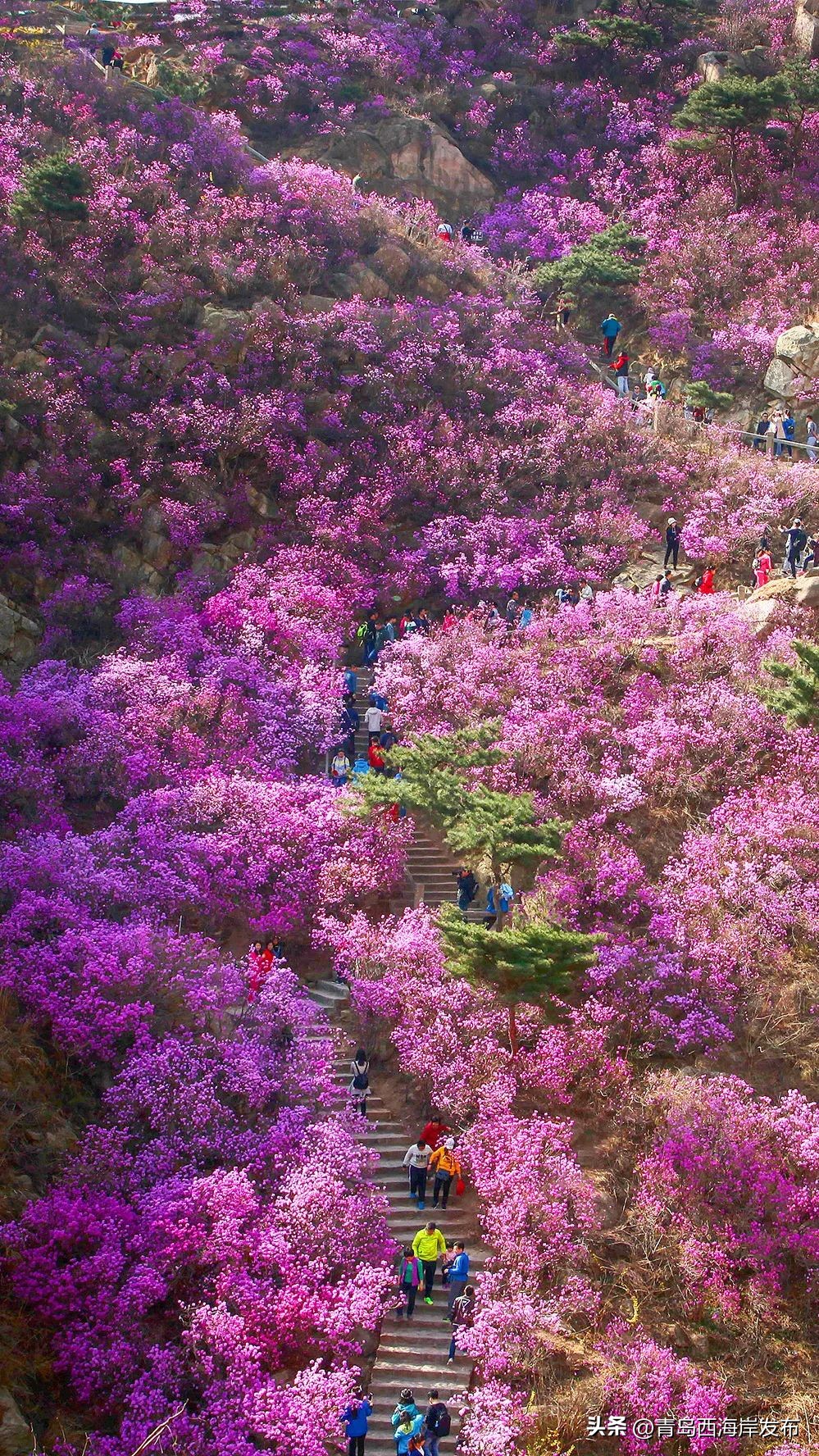 足球旅游攻略,游玩攻略足球小镇