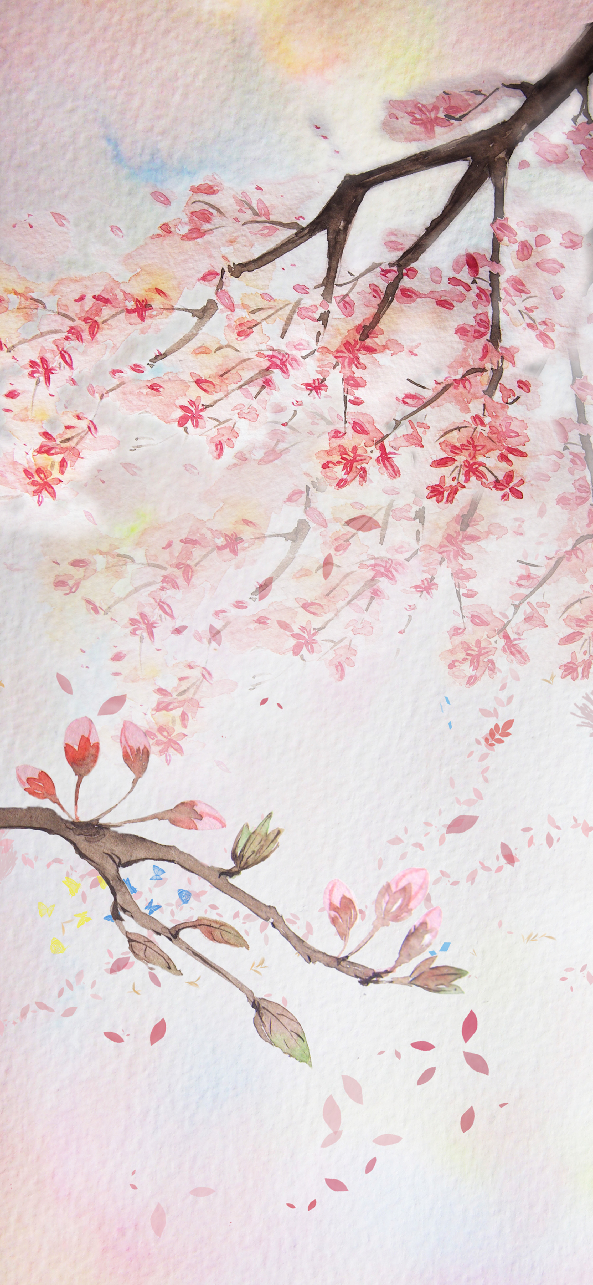 手机型号壁纸图片,169手机壁纸尺寸