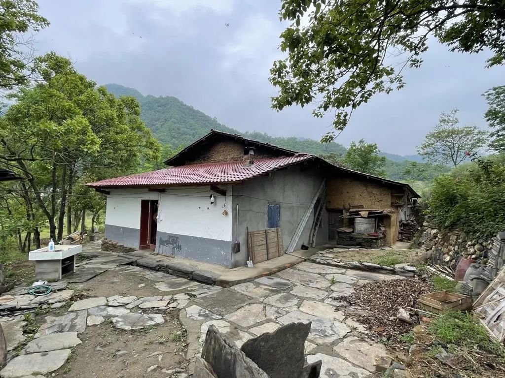 相聚仍是青年——记情系四中群友聚