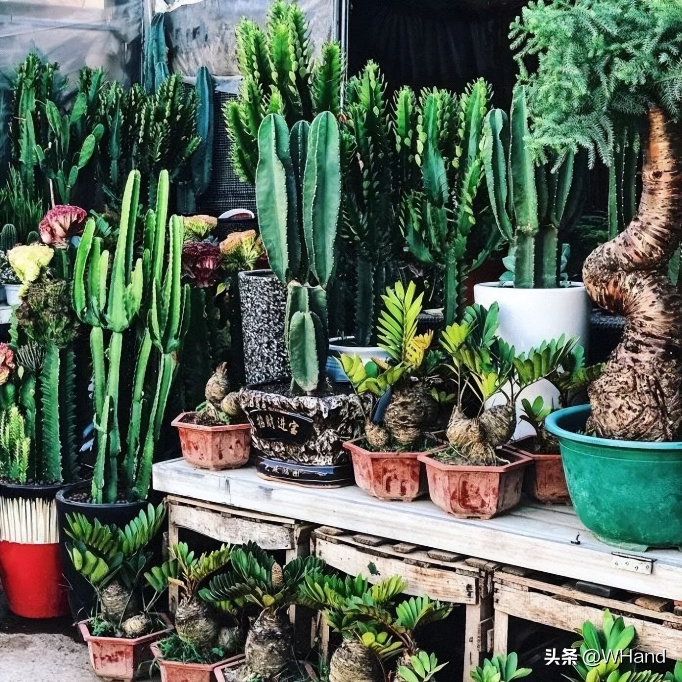 武汉最有名的20个批发市场,武汉各大批发市场在哪里