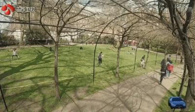 孙燕姿凭什么和周杰伦媲美,能打败周杰伦的只有孙燕姿