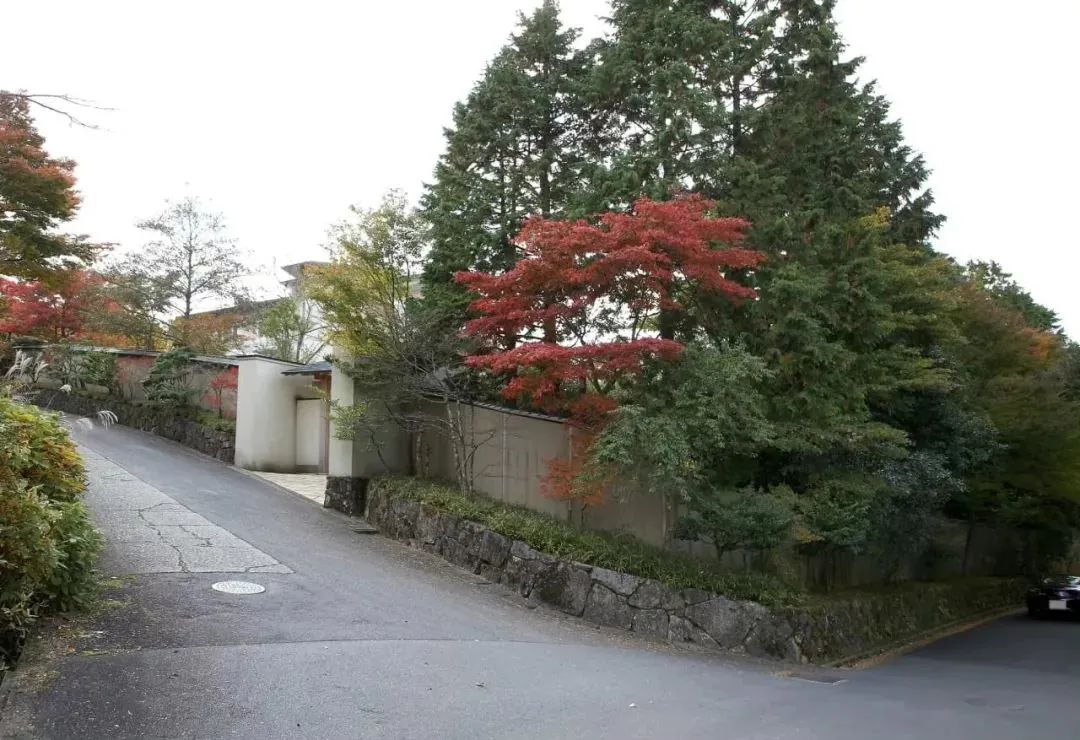 马云是否在日本生活,马云在日本现状