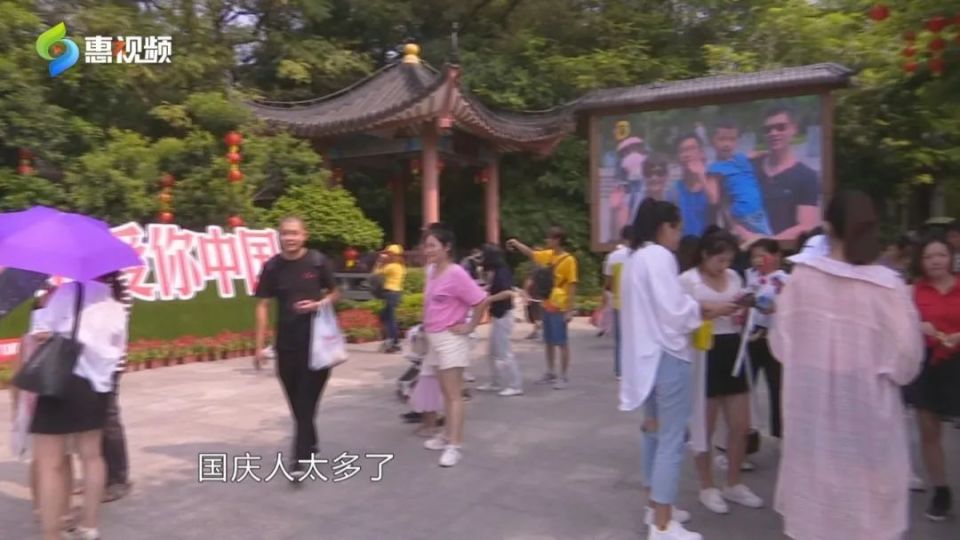 惠州大降价,惠州特价旅游