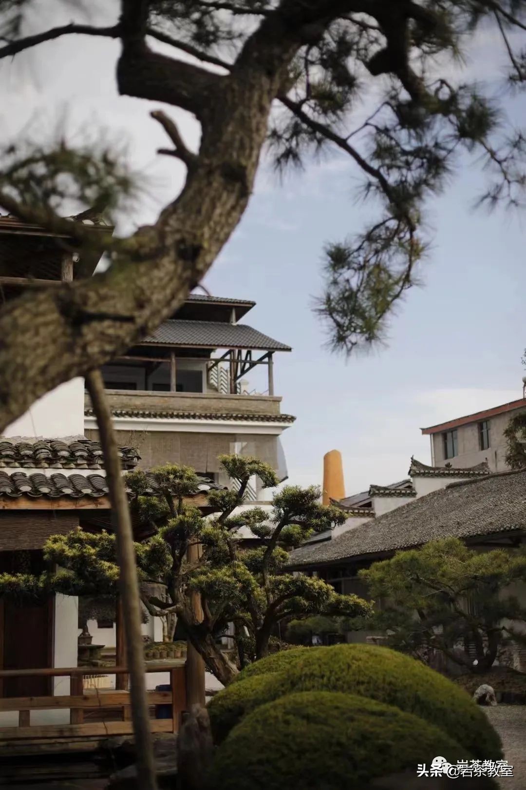 赏瓷观窑公道杯器型 (赏瓷观窑十二花神杯)