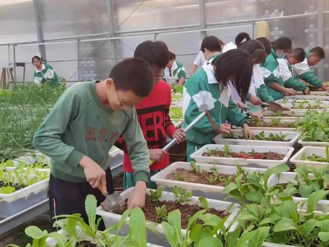 福建奥赛,2022数学奥赛福建获奖名单