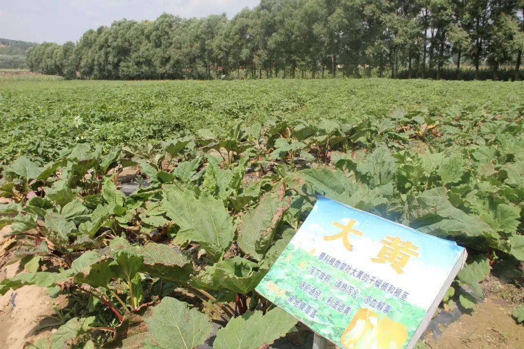 马峡速写（散文诗）