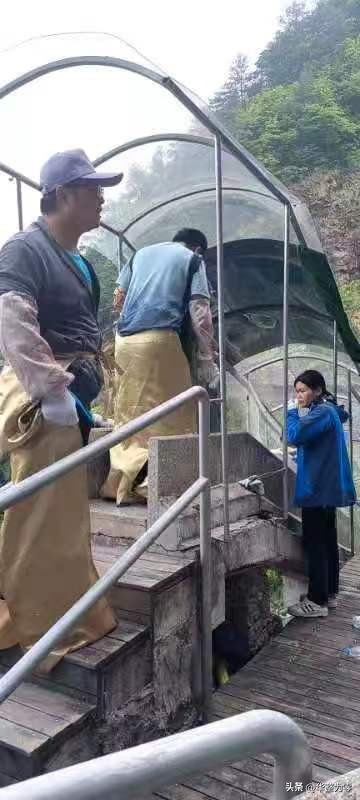 小黄山大明山全景,小黄山大明山在哪里