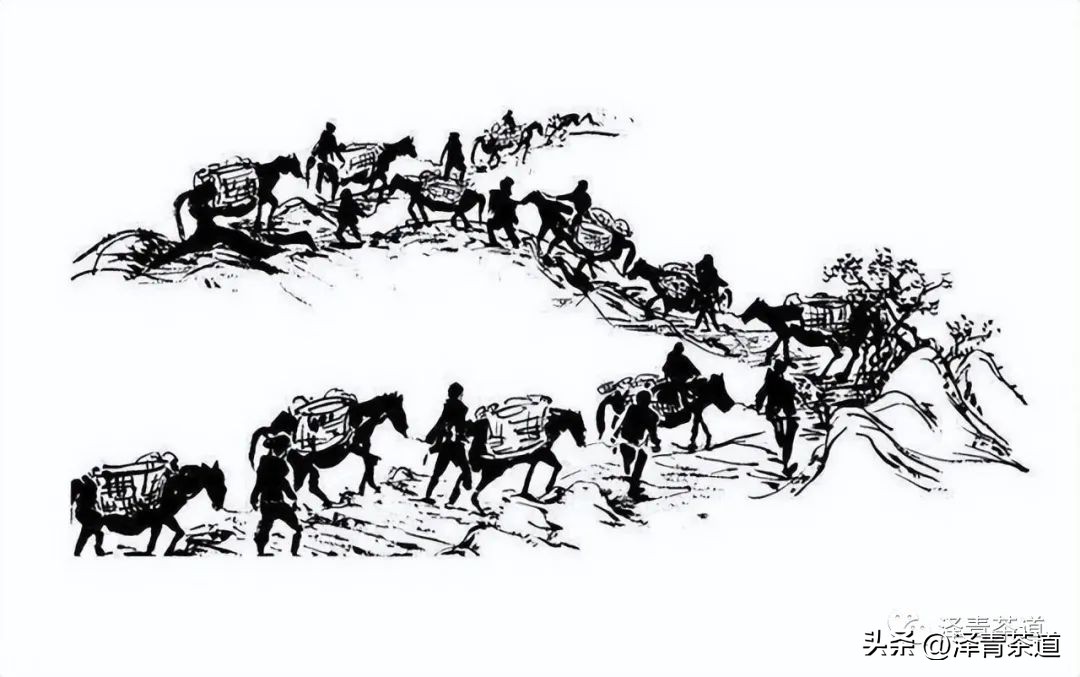 茶马古道茶叶铁盒价格,茶叶溯源之旅