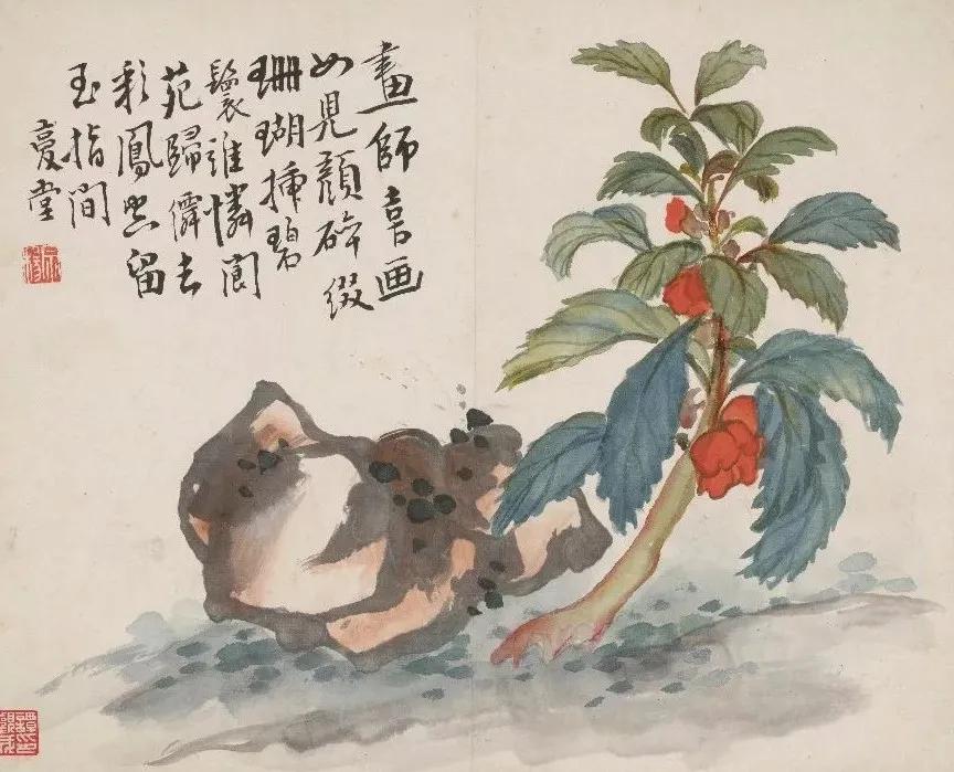 清代九大名家花鸟册页欣赏,清朝九大名家花鸟山水图