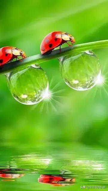 人生哲理意境文字,真字人生哲理