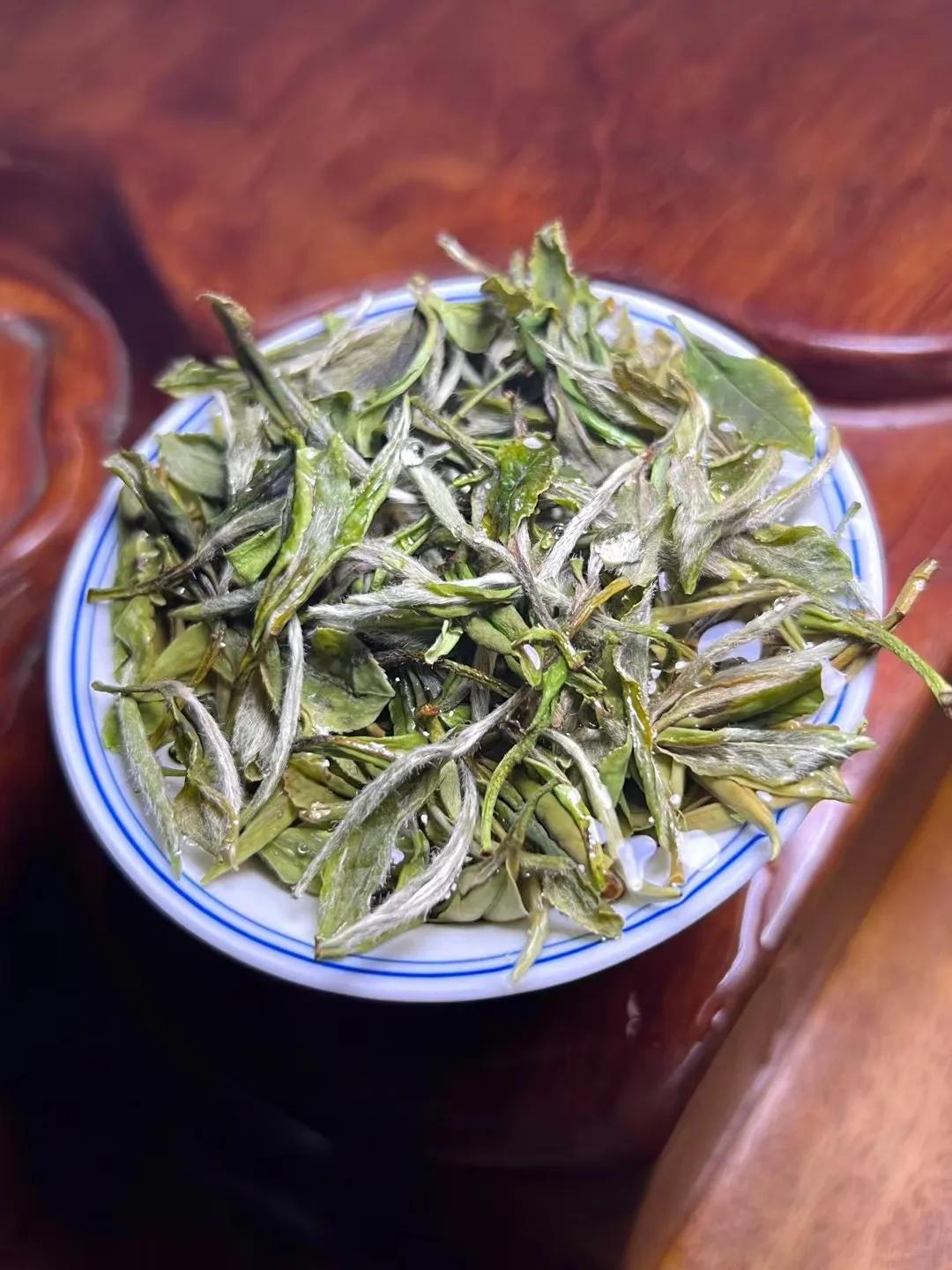 白茶初入门的新手如何能买到好茶,白茶新手入门必买