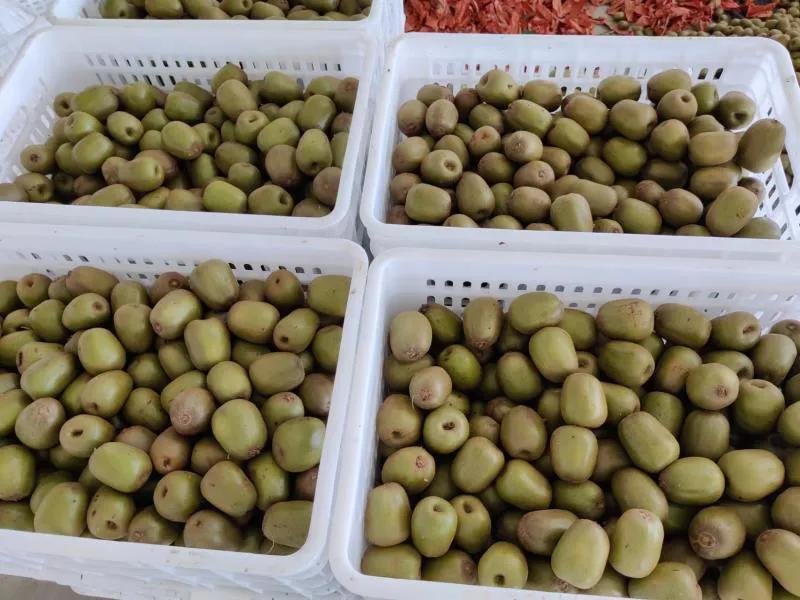 柑橘树最新行情,下半年猕猴桃走势预测