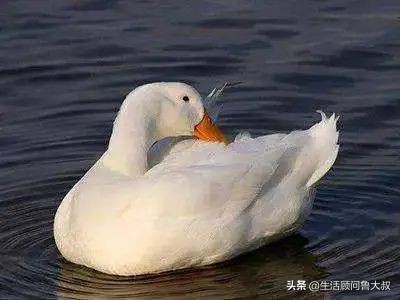 北京市的世界文化遗产有哪些,首批农业文化遗产