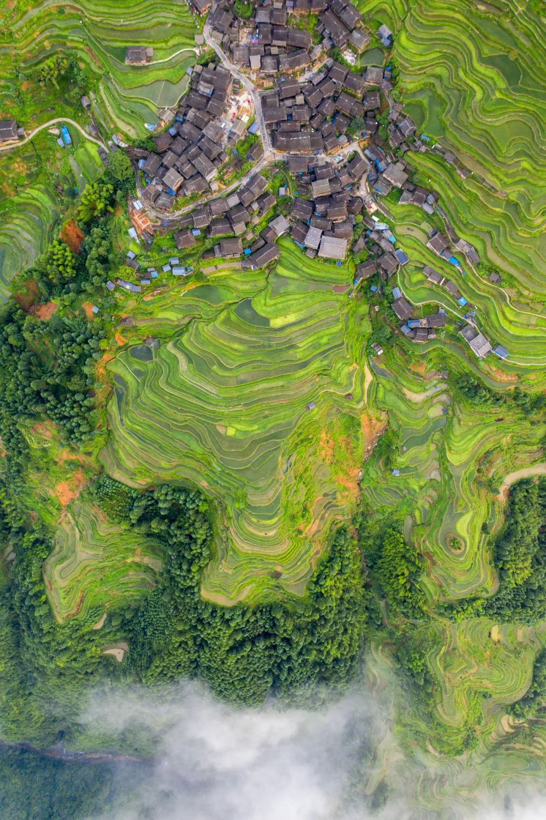 怎么才能看懂中国历史,如何详细的了解中国的历史