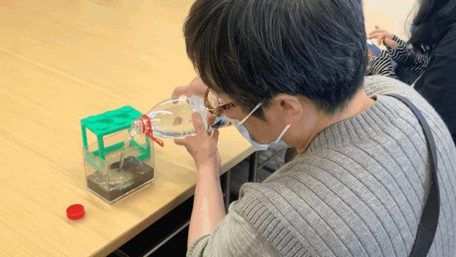 生态鱼缸如何做过滤,金鱼生态鱼缸制作