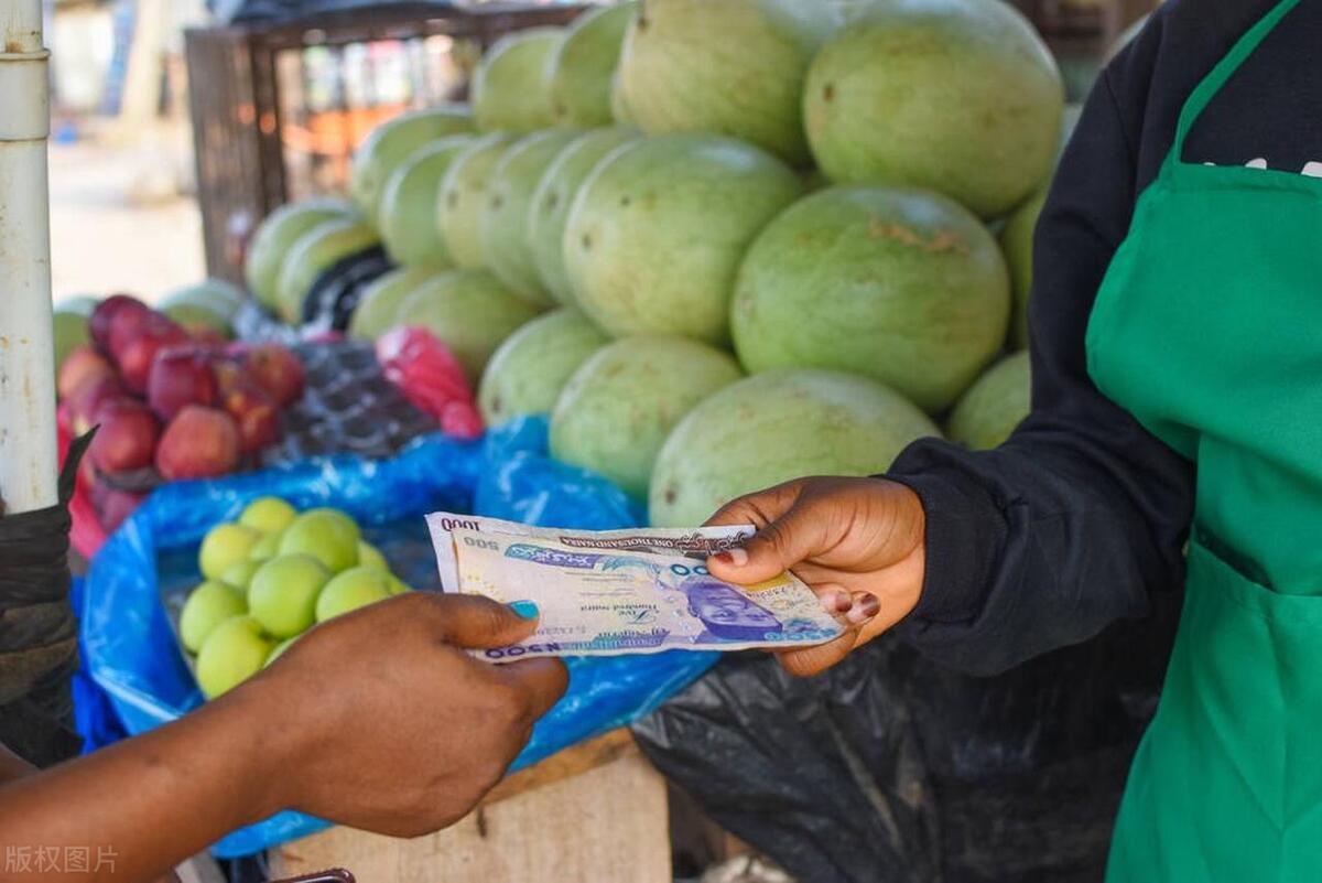尼日尔见闻,尼日利亚的风土人情