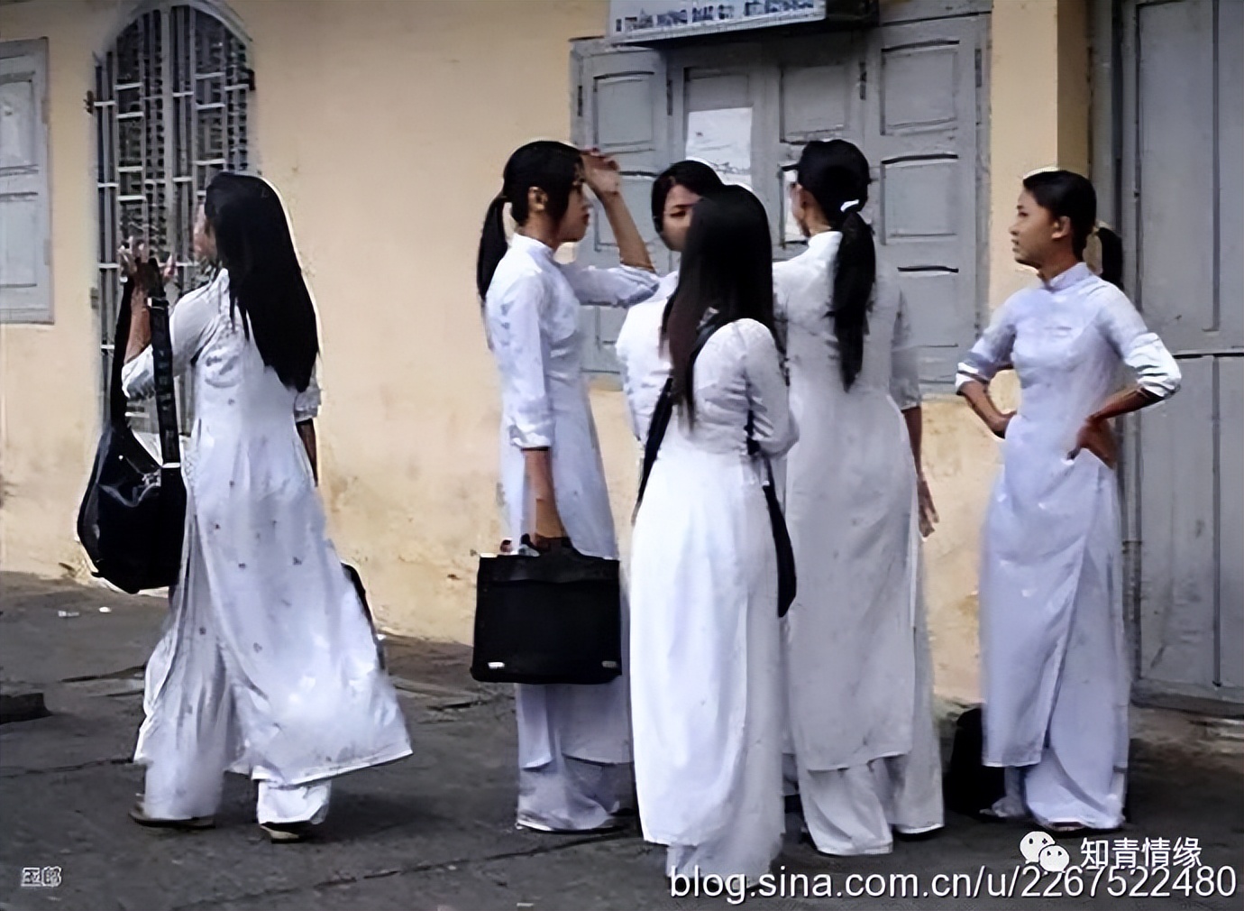 越南美女穿中国风旗袍,越南穿旗袍的民族美女