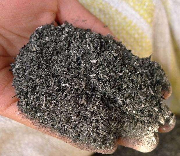 冬季多肉怎么养不生虫,为什么养多肉要拿煤球渣去养