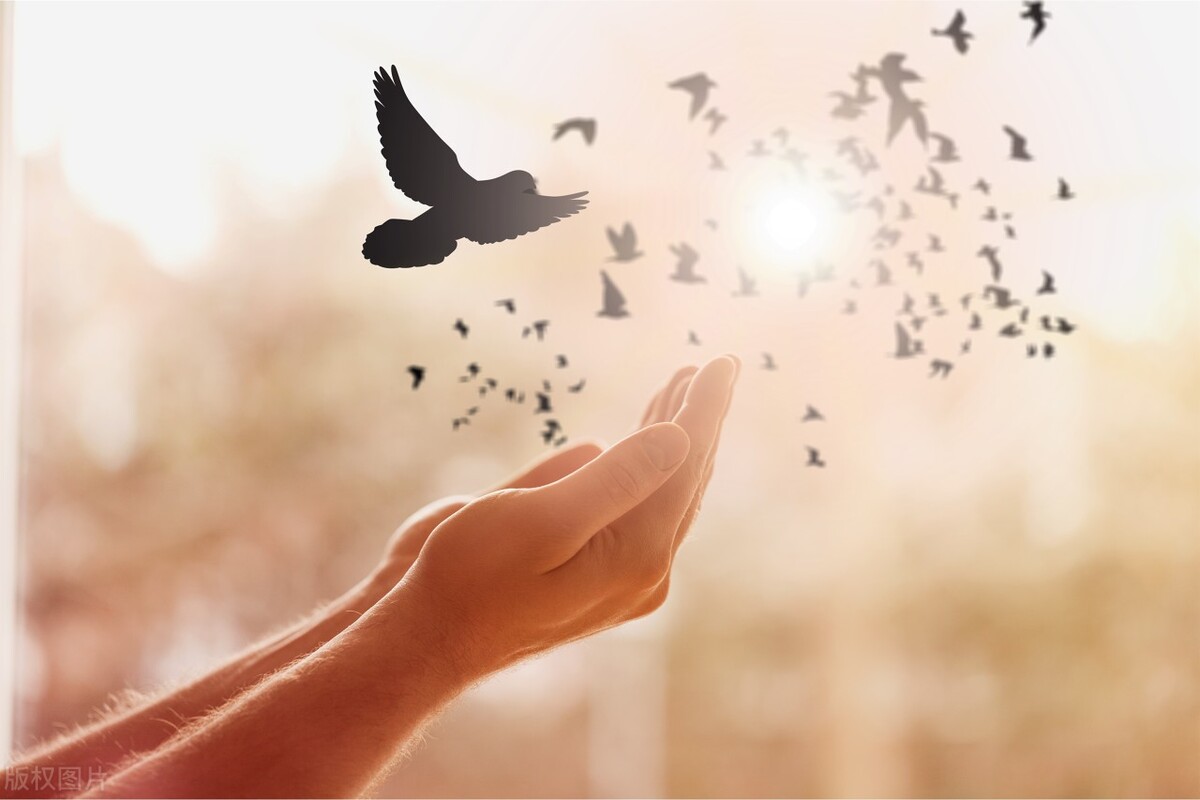 色彩心理学真的可以看出一个人吗,色彩看透女人性格