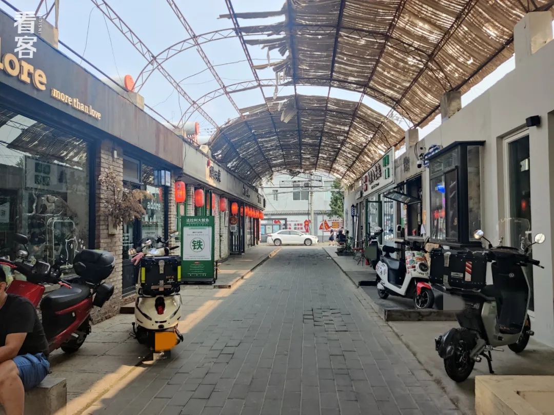 一只北漂小狗离开了，我为它写了封讣告