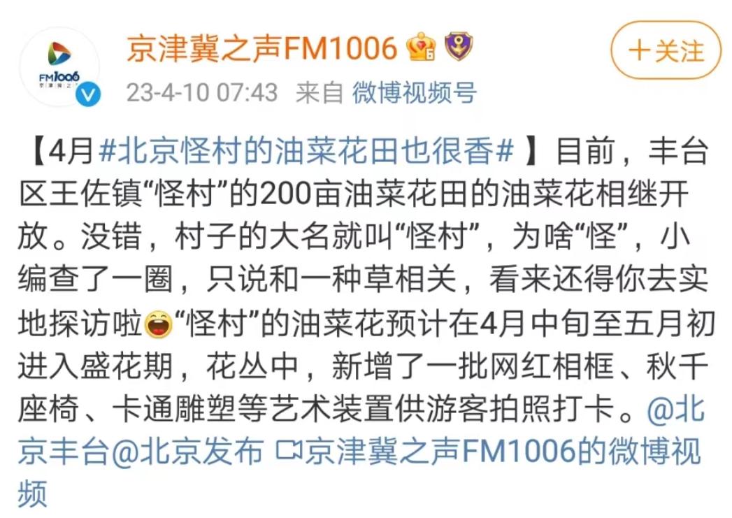 北京周边探秘京城最美油菜花海,北京油菜花必去的地方