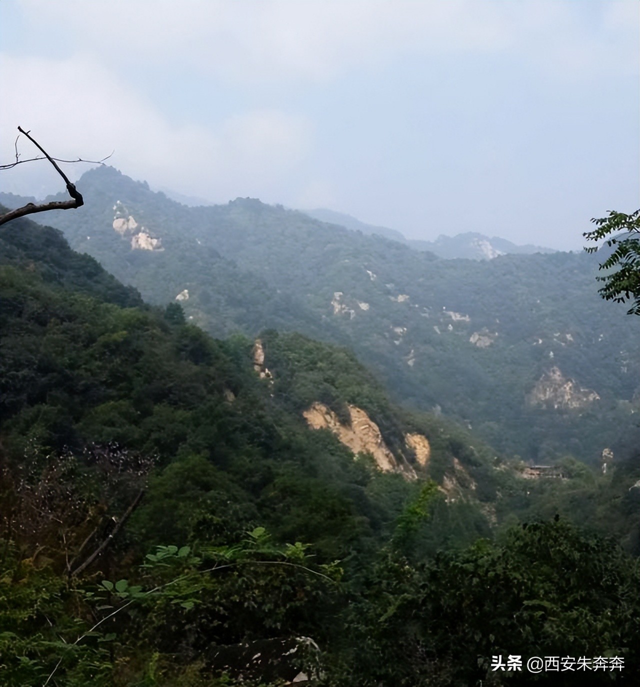 翠华山爬山攻略,翠华山爬山攻略一日游