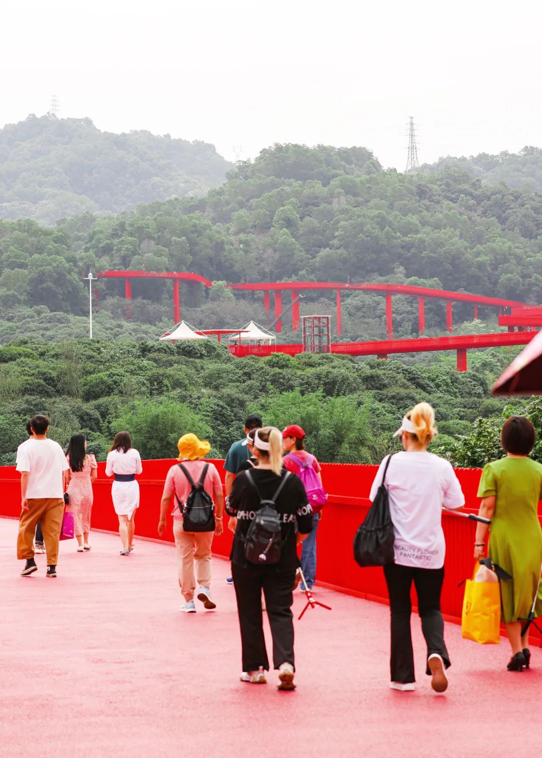 端午假期光明活动超精彩！音乐live、摘荔枝、包粽子……等你解锁！