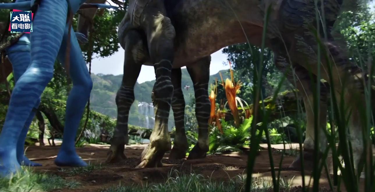 阿凡达解密,阿凡达2详细攻略大全