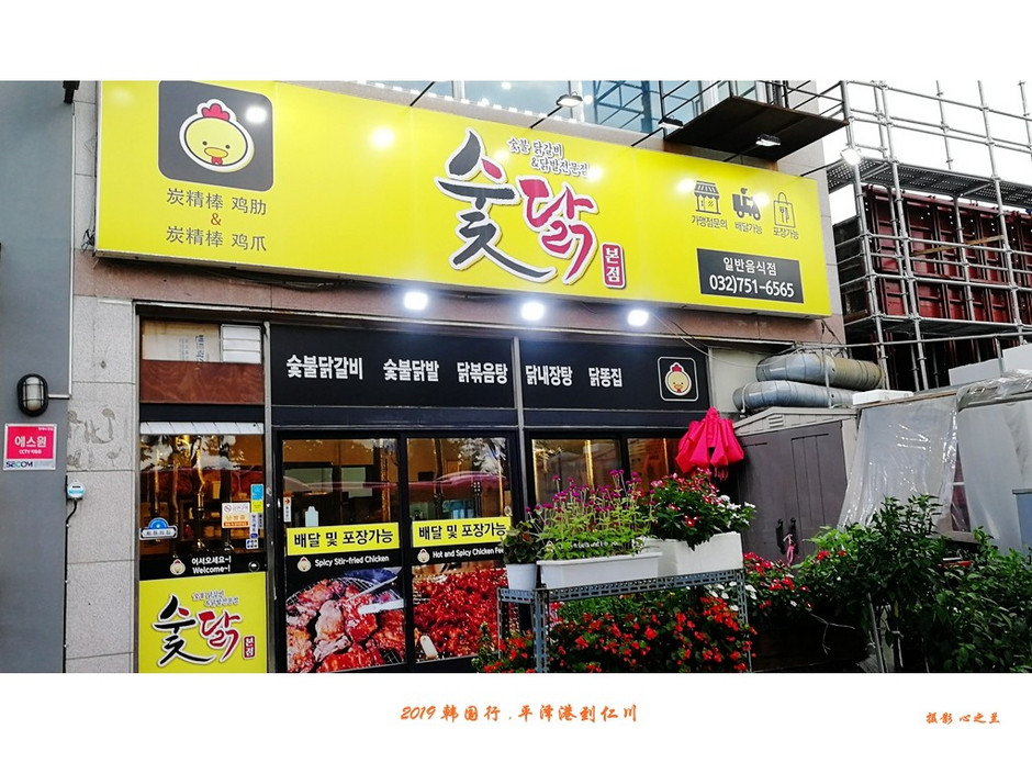 韩国行中国行,韩国行旅行团