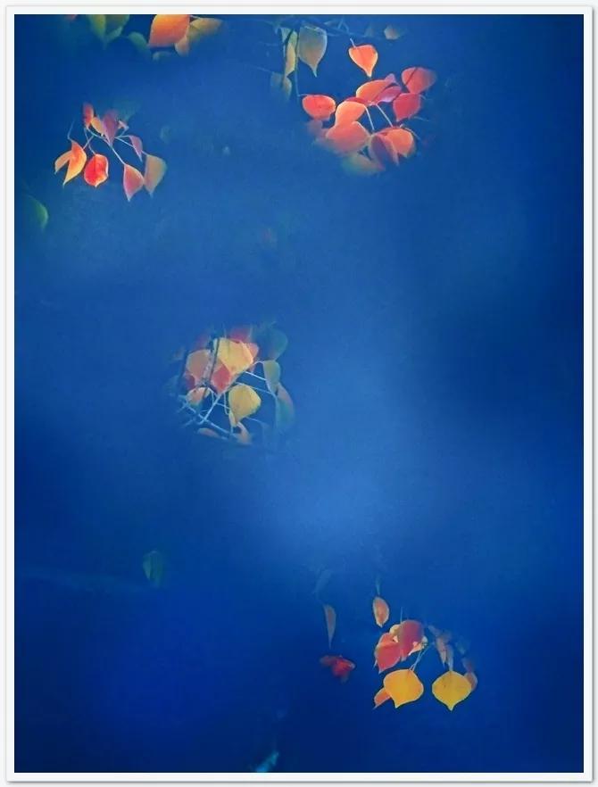 鑹插僵鏋勬垚浼樼浣滃搧,鑹插僵閫犲瀷鎽勫奖鏁欑▼