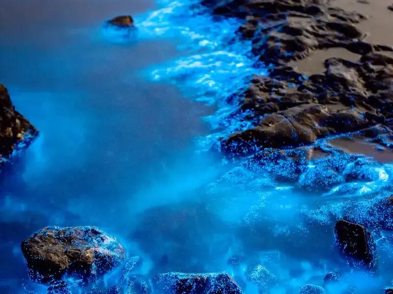 大连旅游必去景点排名亲子,大连冬天旅游必去景点排名