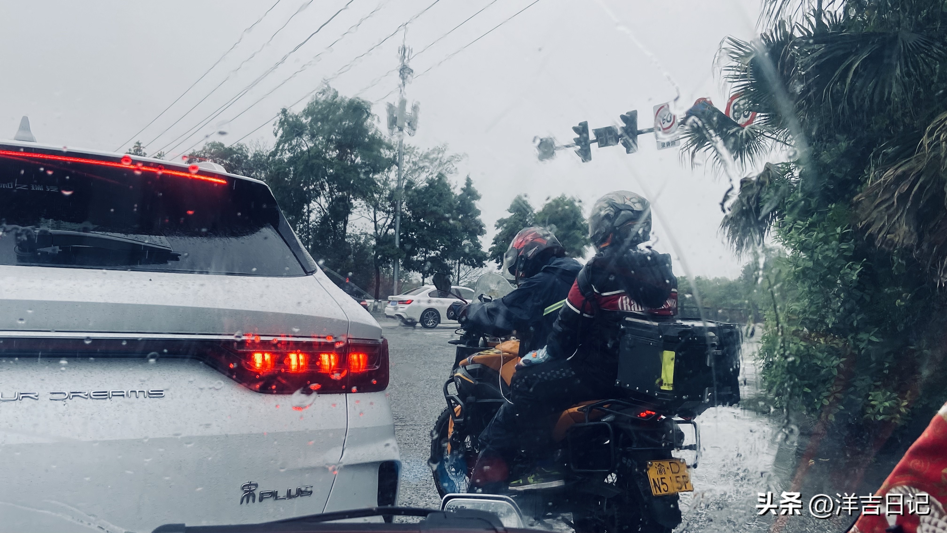 洋吉日记2023.4.28（花的意义？）