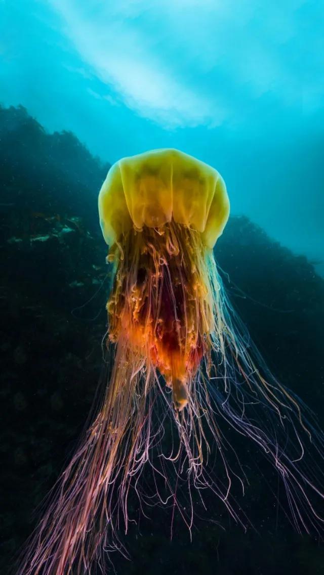 蓝色海景壁纸图片大全,海景壁纸4k超清全面屏