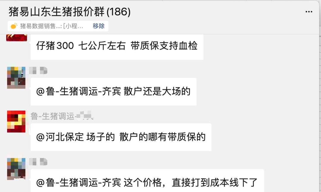 仔猪2月份价格,仔猪2字头是什么意思