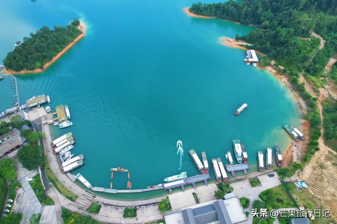 万绿湖鱼肉火锅,广东万绿湖最深多少米