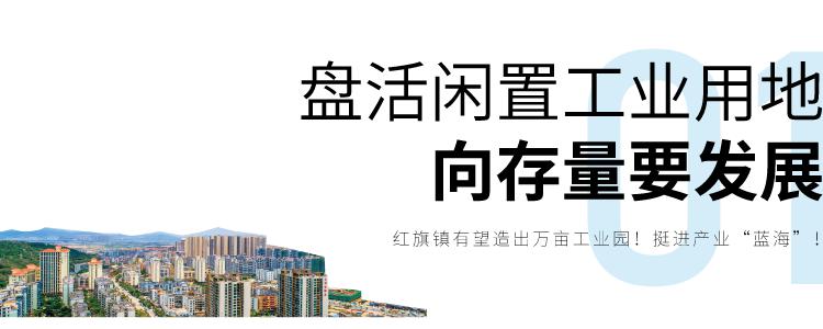 扛起红旗,扛起红旗往前走