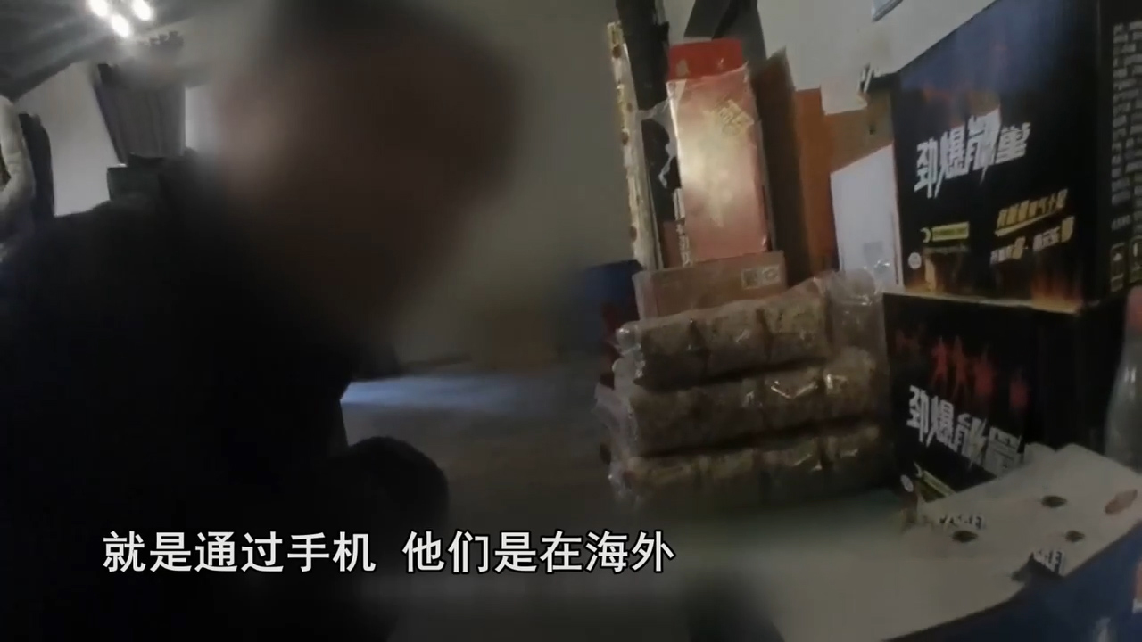 色情直播平台“萌宝宝”覆灭记