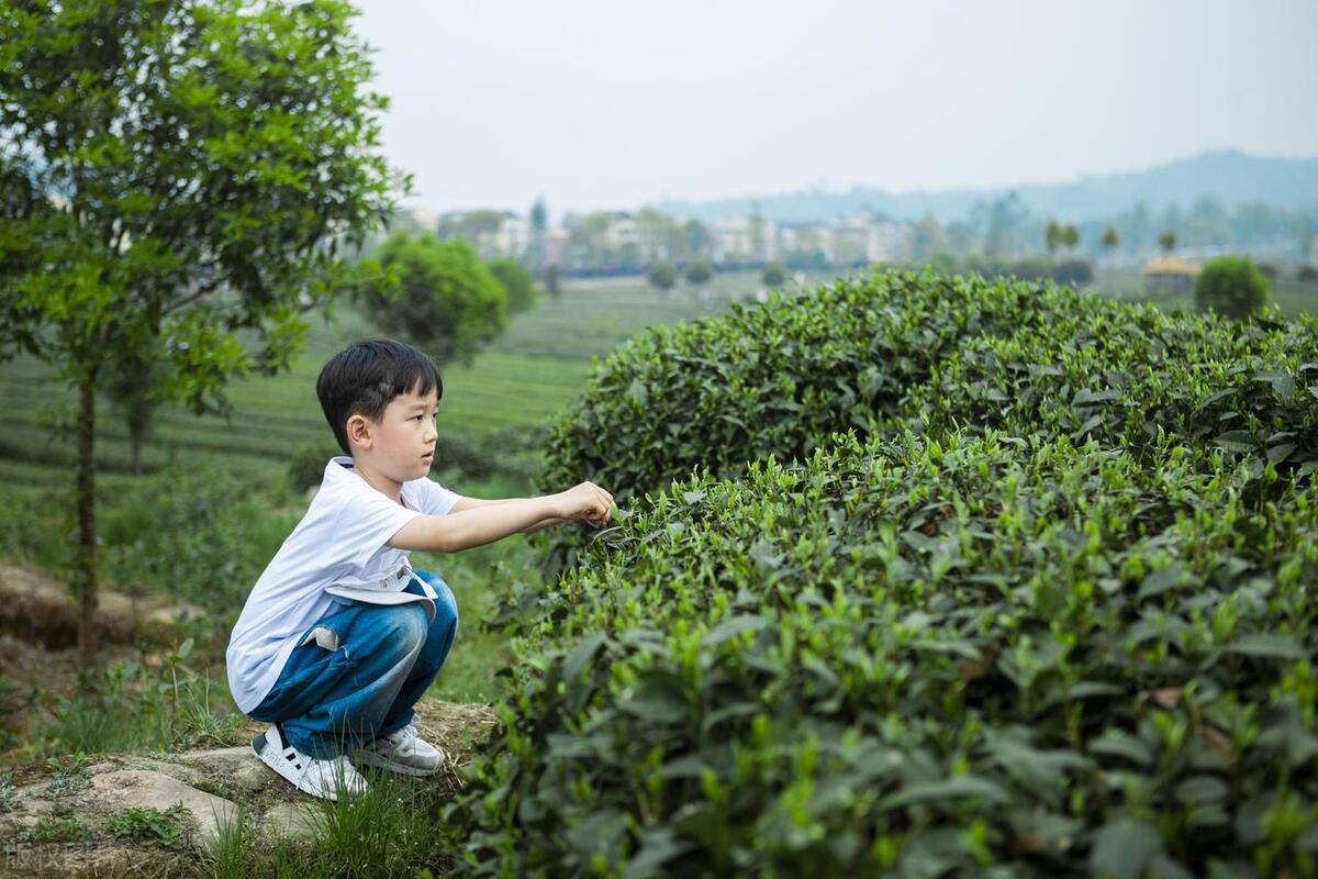 我的旅行故事，拯救被石头砸伤的小男孩，大家的反应让我看清人性