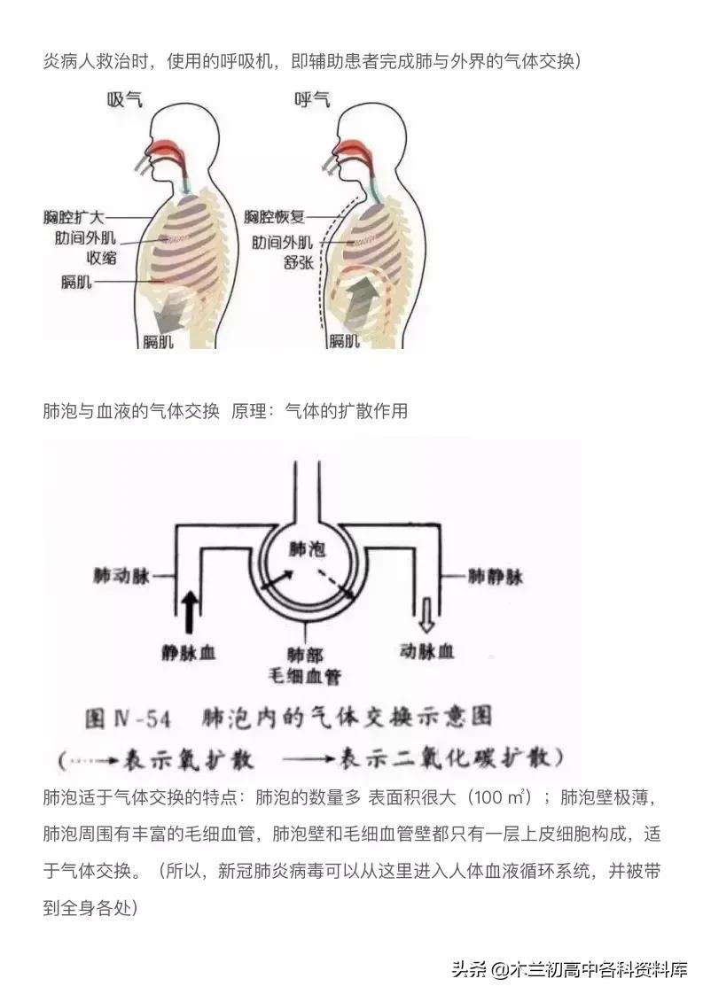 初中生物病毒必考题,初中生物病毒填空题答案