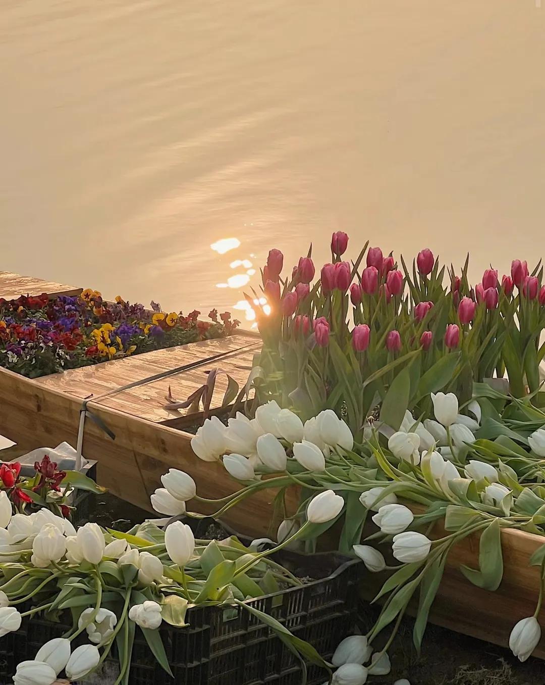 人为什么会喜欢抽烟呢,人为什么会抽烟啊