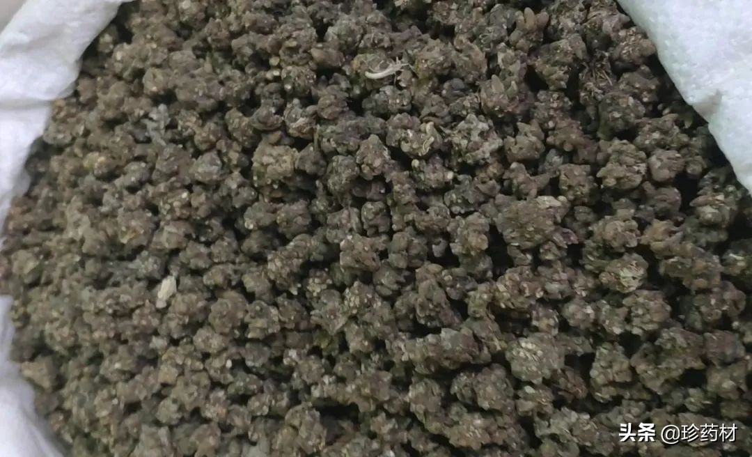 12月23日中药材市场快讯：三七、红景天、白茅根、猫爪草、菟丝子