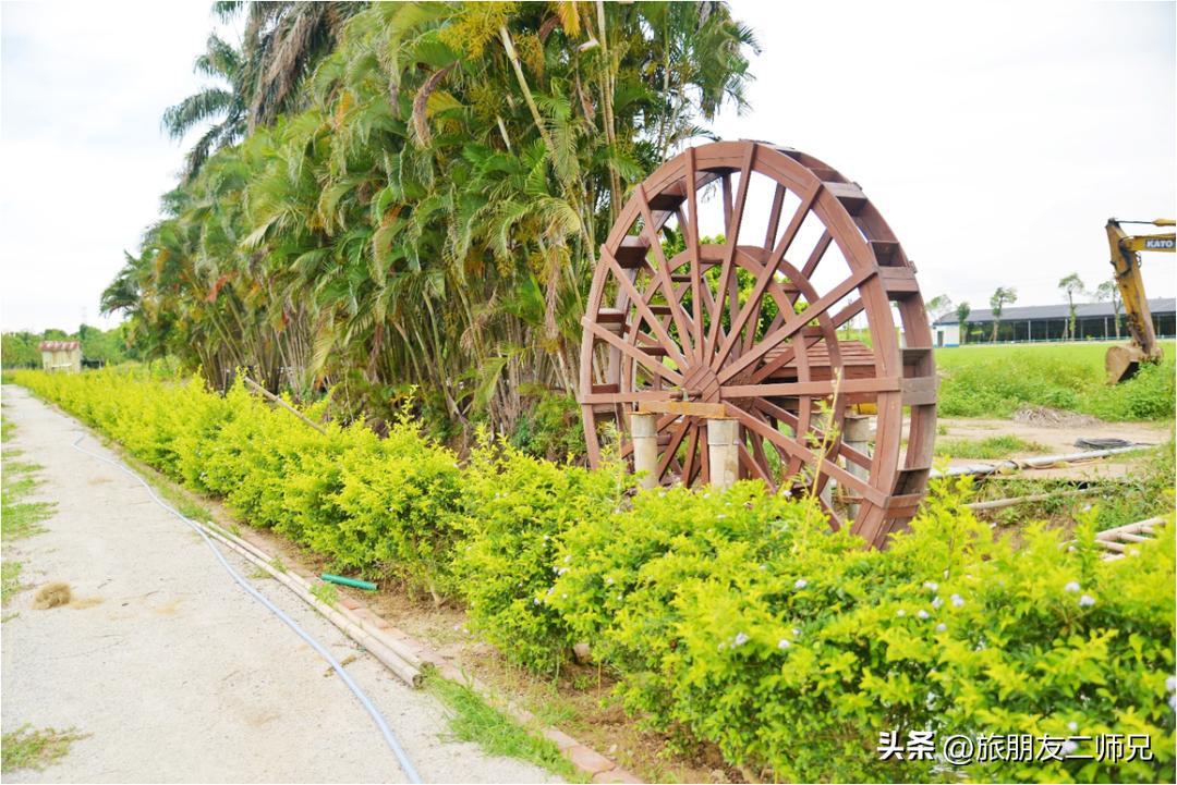 珠海东澳岛旅游一日游攻略路线,广州出发海陵岛旅游攻略两天一夜