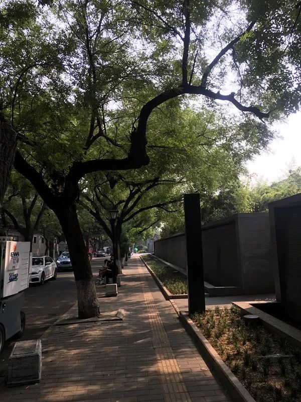 国子监腾退开始了吗,国子监腾退什么时间开始